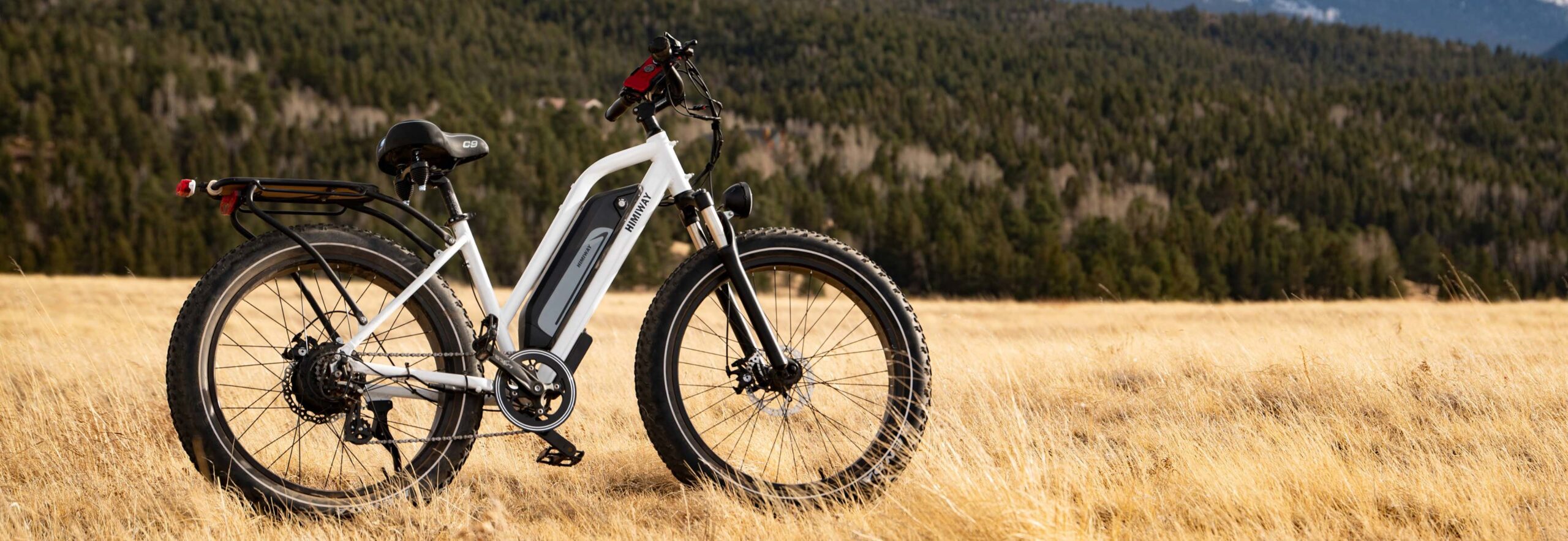 Electric Bike Standing in Filed